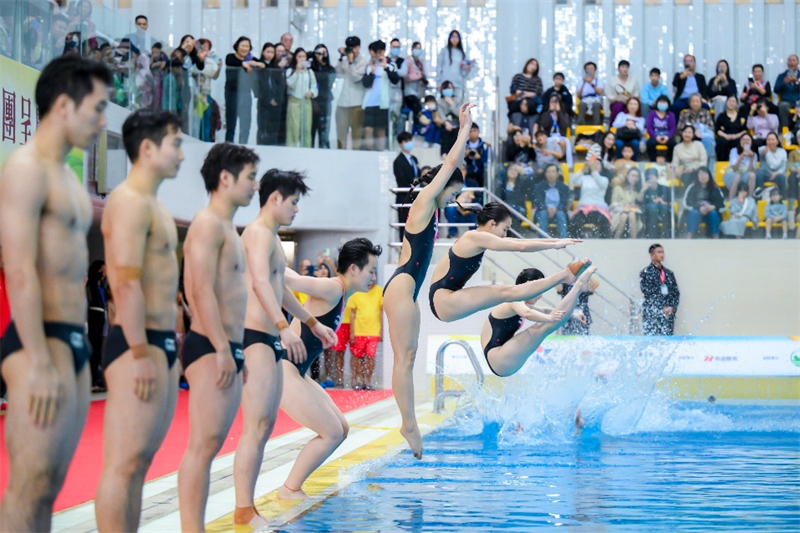 图为“国家跳水梦之队大汇演*活力行2025”精彩表演。主办方供图