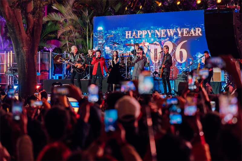 现场乐队表演。主办方供图