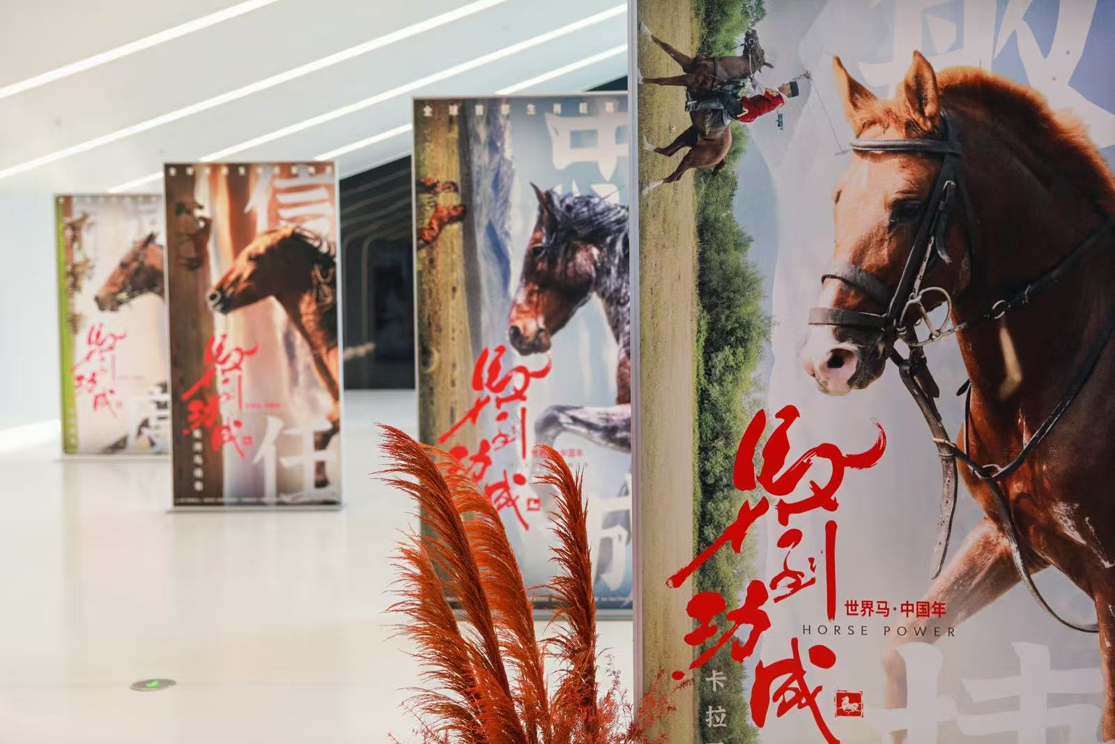 电影《马到功成》海报。主办方供图