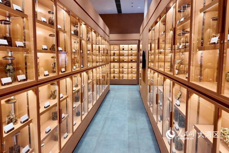 图3.中药标本馆目前展出约3500份标本。人民网 实习生张雨洁 摄