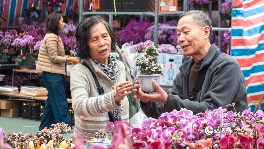 市民在摊位前选购心仪的年花。人民网 吴宇扬扬摄