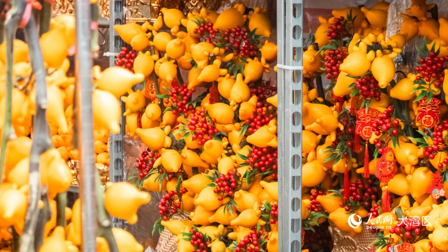 年花“五代同堂”备受香港市民欢迎。人民网 吴宇扬扬摄