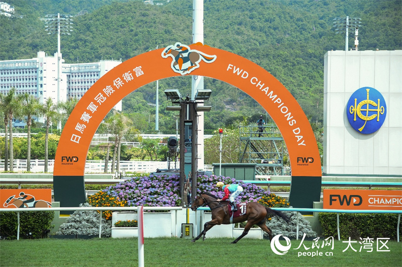 香港赛驹“嘉应高升”勇夺“主席短途奖”冠军。人民网实习生 方在安摄