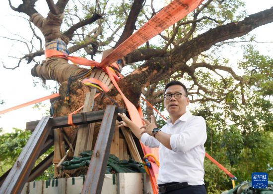 10月14日,中国建筑社区应急义工队常务副总指挥陈恒镔介绍施工情况。新华社记者 陈铎 摄