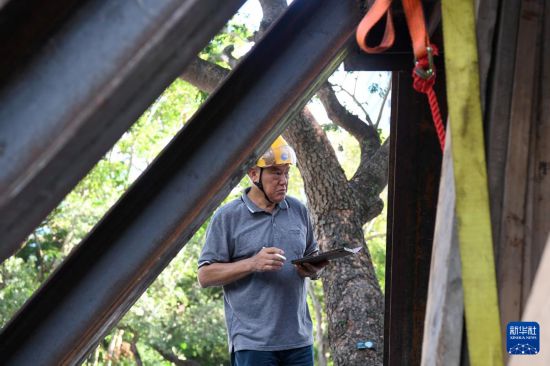 10月14日,香港古树管理专家林妙成在九龙公园勘察大叶合欢古树的情况。新华社记者 陈铎 摄