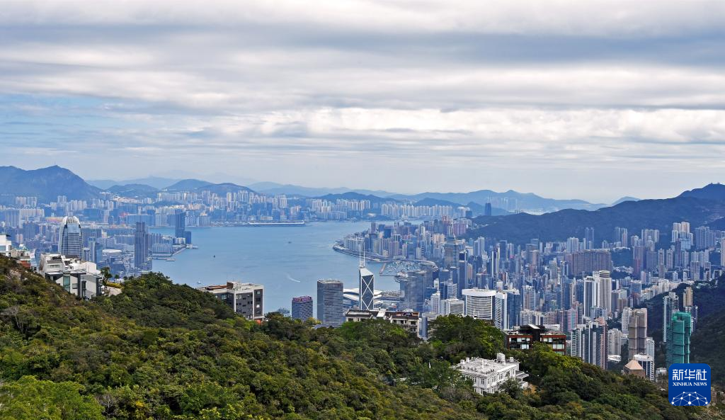 这是2025年2月11日拍摄的香港城市风光。新华社记者 陈铎 摄